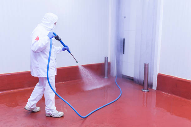 Best Post-Construction Pressure Washing  in Lincoln, MT